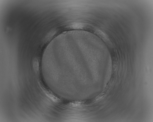 X0000069790120200606021423