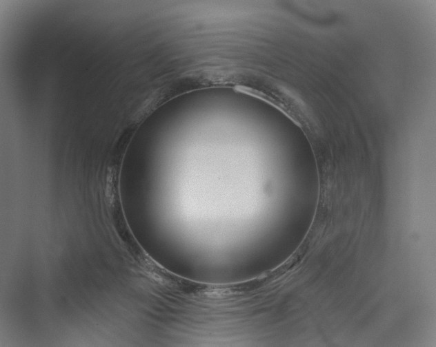 X0000069790121200606021423