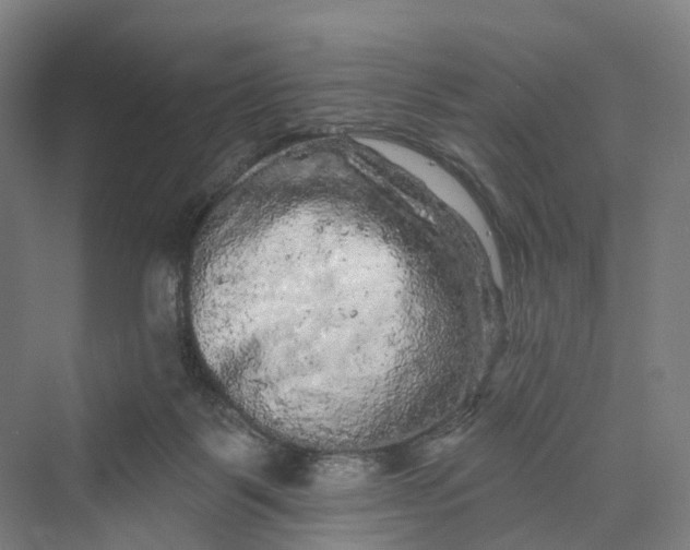 X0000069790123200606021423