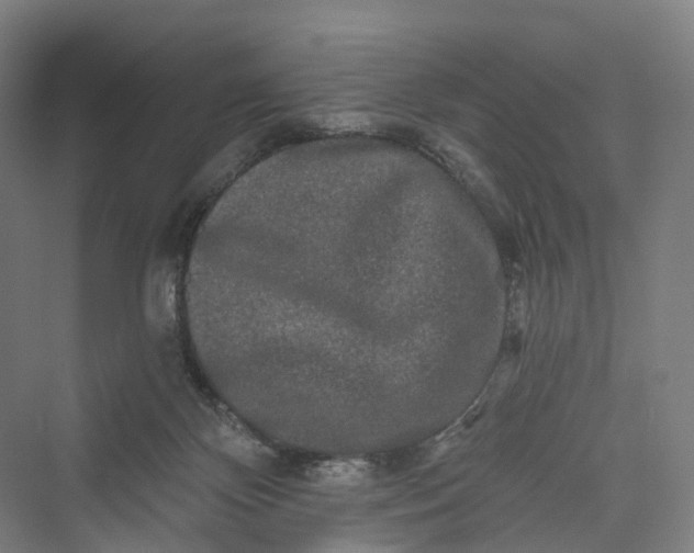 X0000069790124200606021423