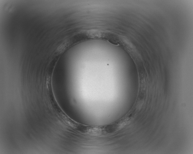 X0000069790125200606021423