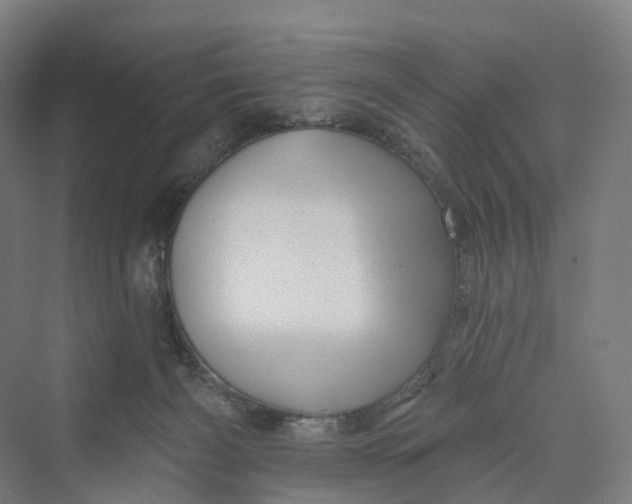 X0000069790126200606021423