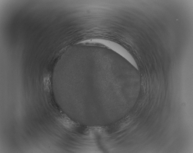 X0000069790127200606021423