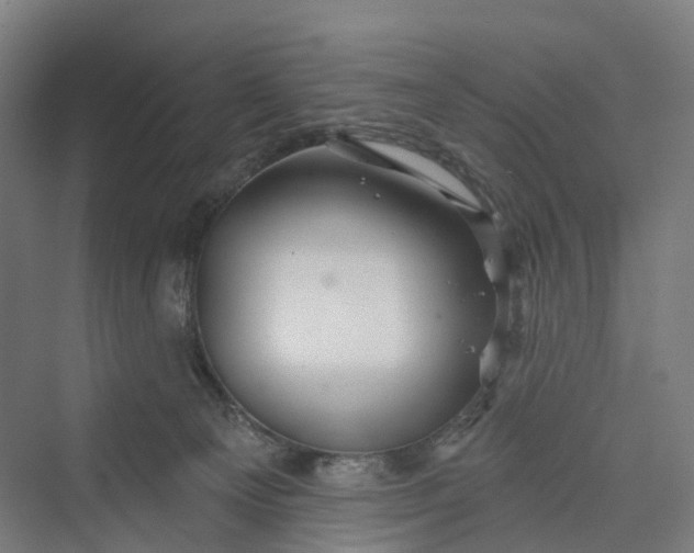 X0000069790129200606021423