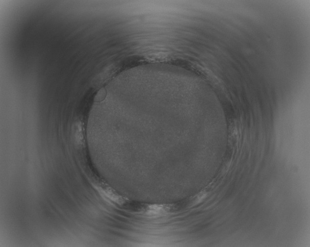 X0000069790130200606021423