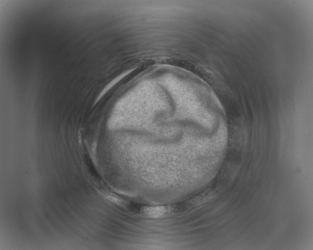 X0000069790131200606021423