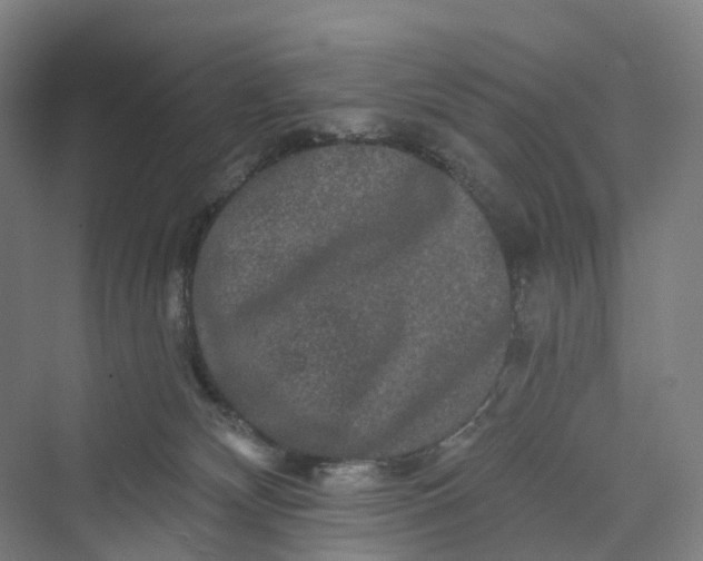 X0000069790132200606021423