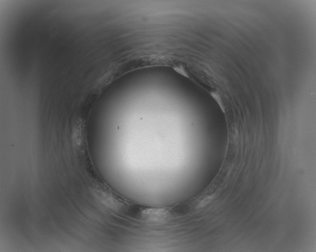 X0000069790133200606021423