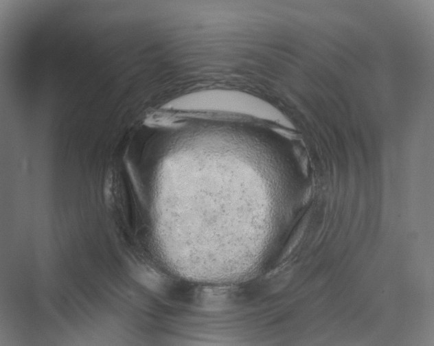 X0000069790134200606021423