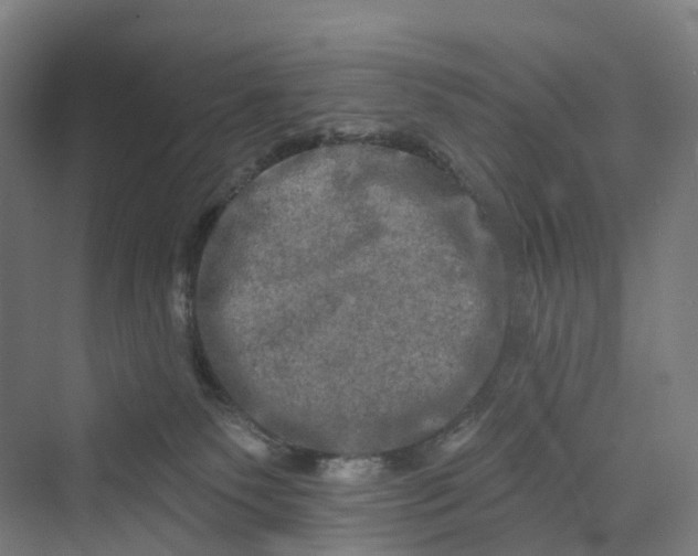 X0000069790135200606021423