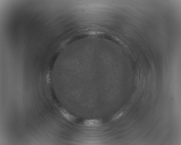 X0000069790137200606021423