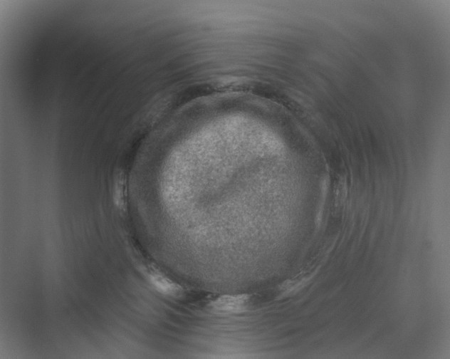 X0000069790138200606021423