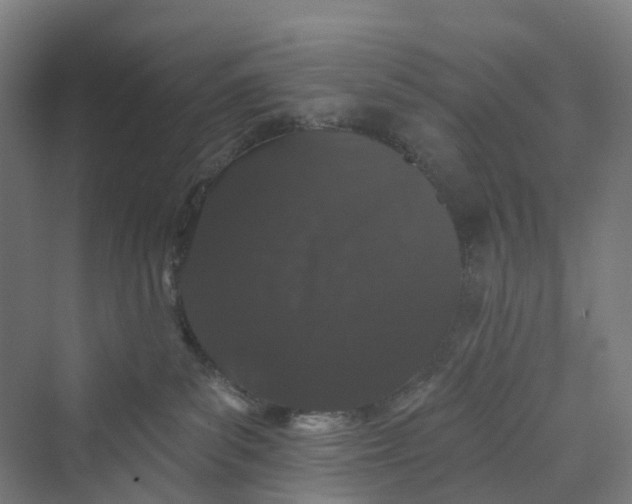 X0000069790139200606021423