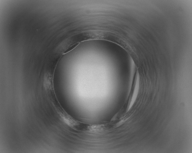 X0000069790141200606021423