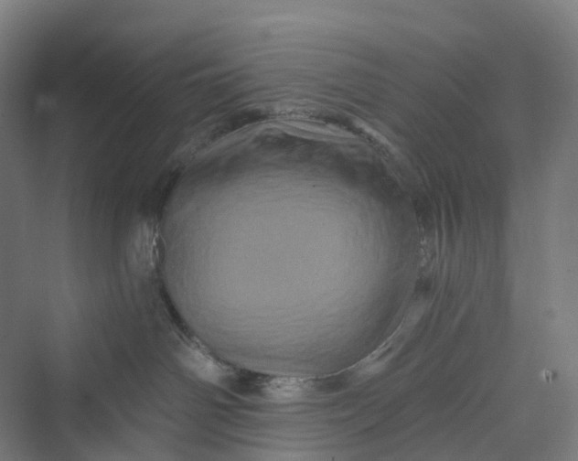 X0000069790142200606021423