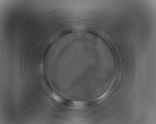 X0000069790144200606021423