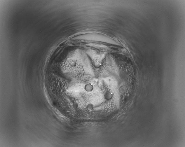 X0000069790145200606021422