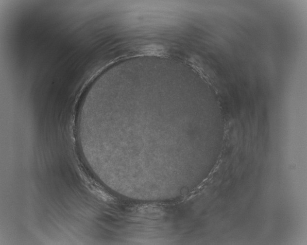 X0000069790146200606021422