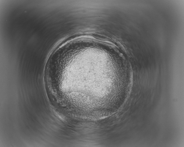 X0000069790147200606021422