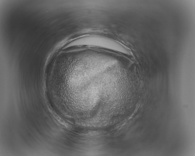 X0000069790149200606021422