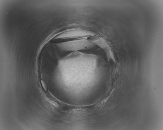 X0000069790150200606021422