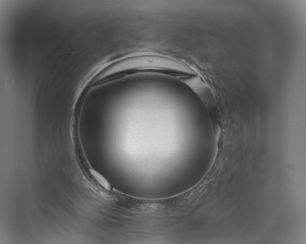 X0000069790152200606021422