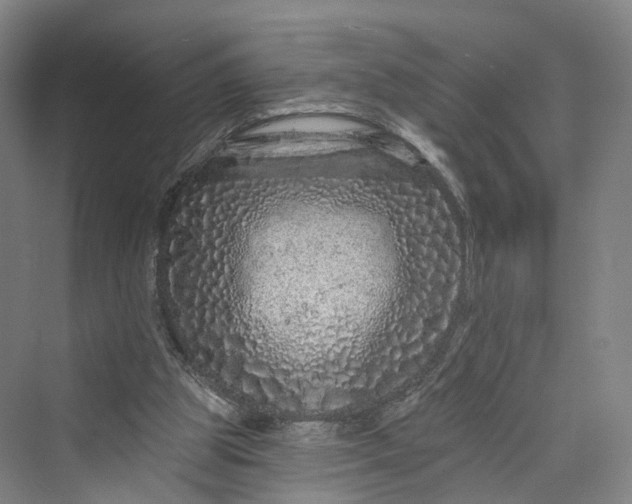 X0000069790153200606021422