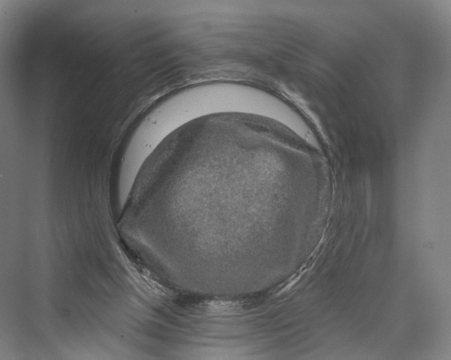 X0000069790154200606021422