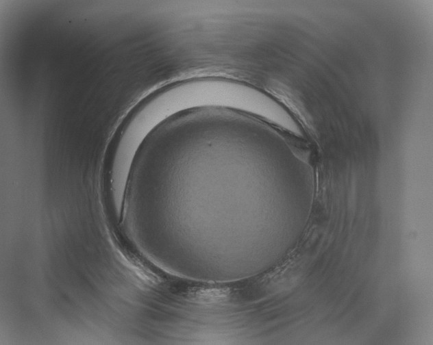 X0000069790156200606021422