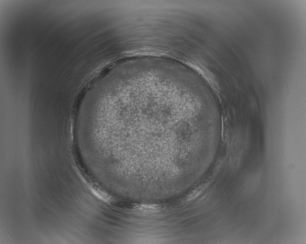 X0000069790157200606021422