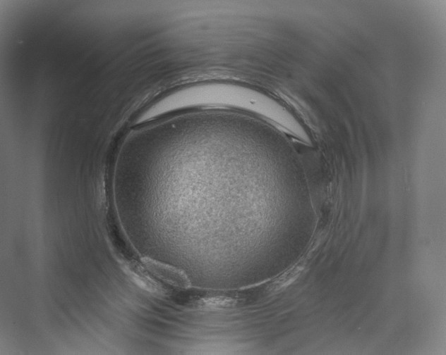 X0000069790158200606021422