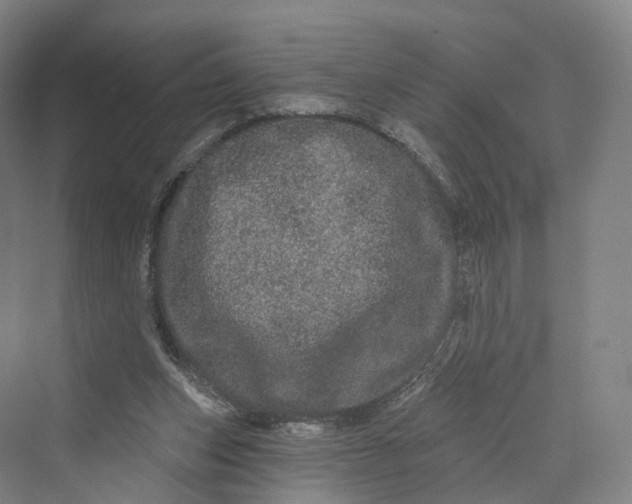 X0000069790159200606021422