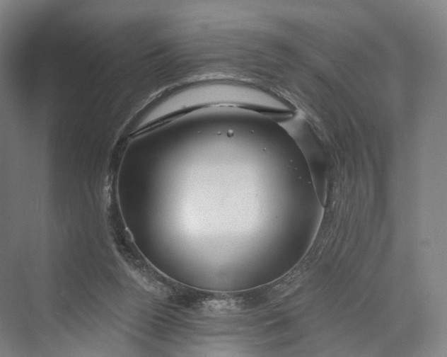 X0000069790160200606021422