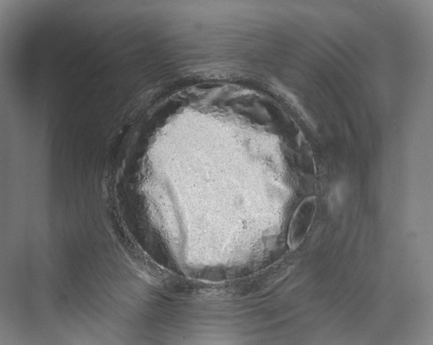 X0000069790161200606021422