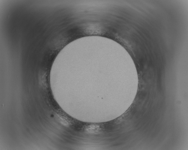 X0000069790162200606021422