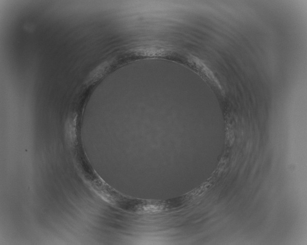 X0000069790163200606021422