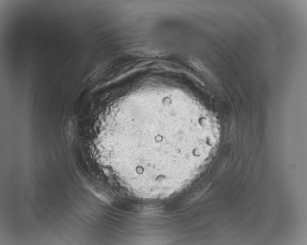 X0000069790165200606021422