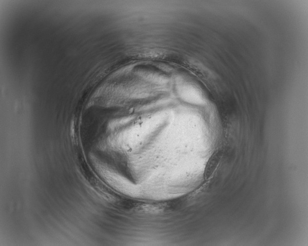 X0000069790166200606021422