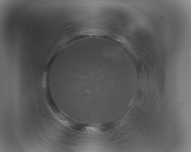 X0000069790167200606021422