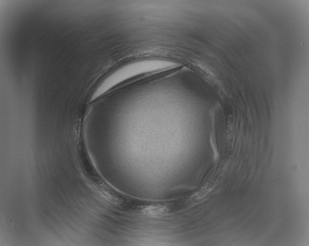 X0000069790168200606021422