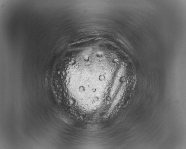 X0000069790169200606021422