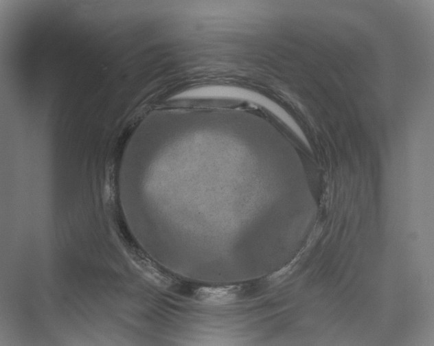 X0000069790170200606021422