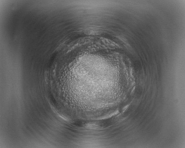 X0000069790171200606021422