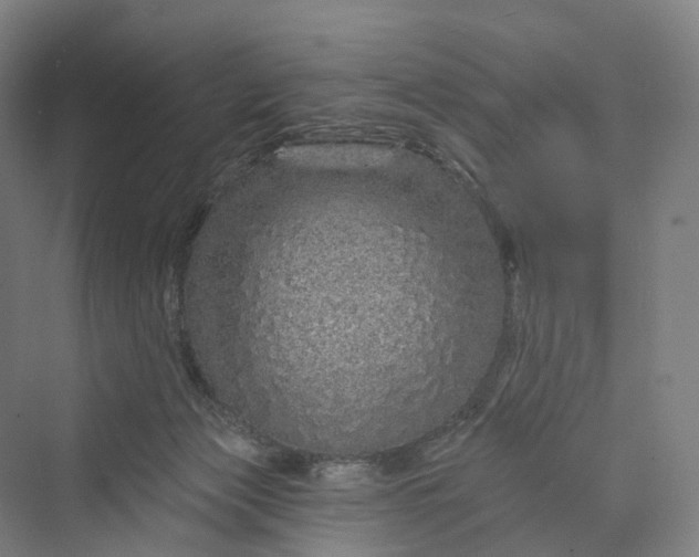 X0000069790173200606021422