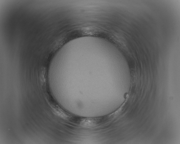 X0000069790174200606021422