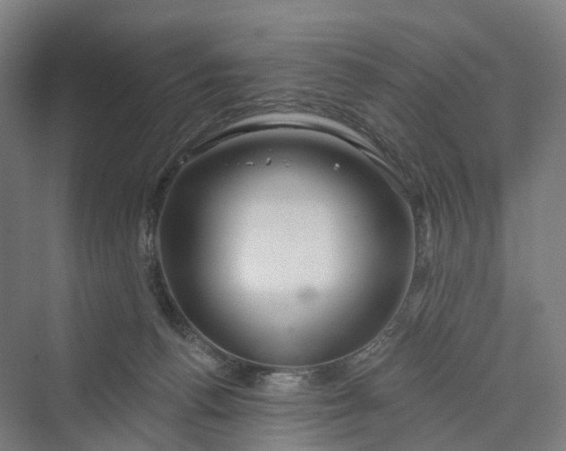 X0000069790176200606021422