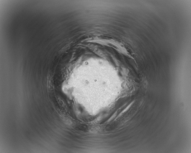 X0000069790177200606021422