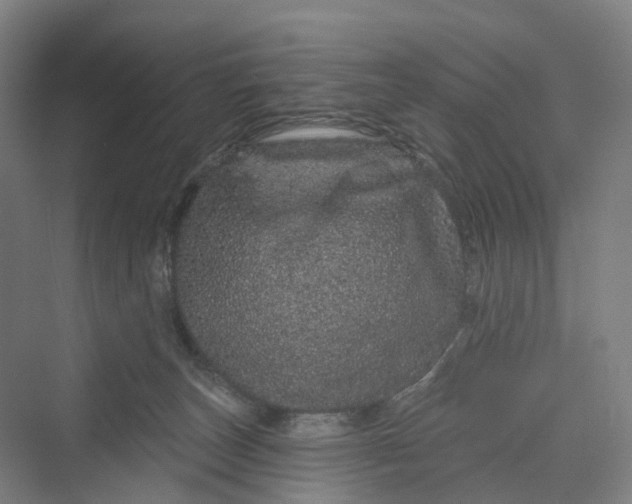 X0000069790179200606021422