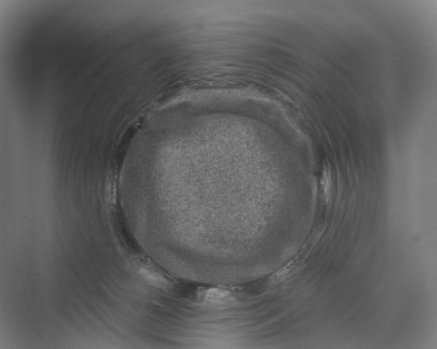 X0000069790180200606021423