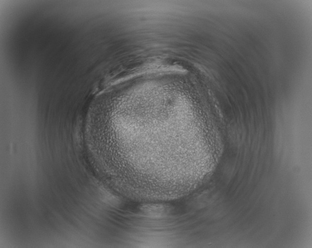 X0000069790181200606021423